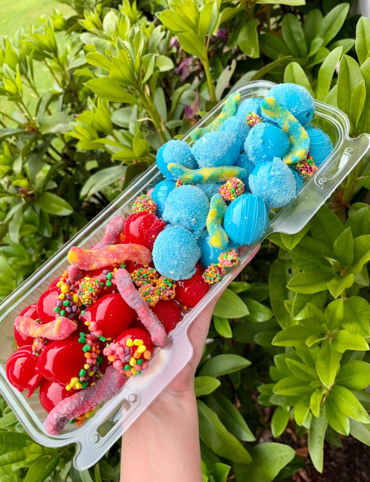 Blue and red candy boat